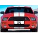 2007 Ford Shelby GT500 oil painting