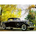 1933 Packard Dietrich Sport Coupe oil painting