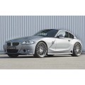 2007 Hamann BMW Z4 M Coupe oil painting