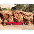 2004 Red Corvette