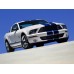2007 Ford-Shelby GT500