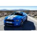 2010 FORD SHELBY